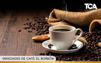 Variedades de café: El Borbón